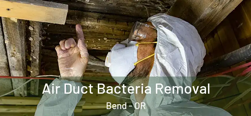 Air Duct Bacteria Removal Bend - OR