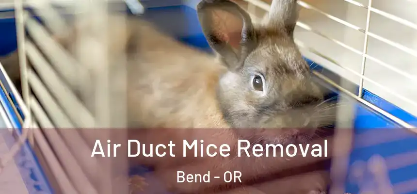 Air Duct Mice Removal Bend - OR