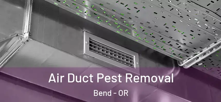 Air Duct Pest Removal Bend - OR