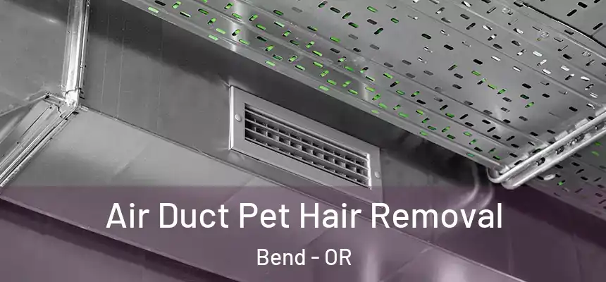 Air Duct Pet Hair Removal Bend - OR
