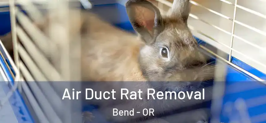 Air Duct Rat Removal Bend - OR