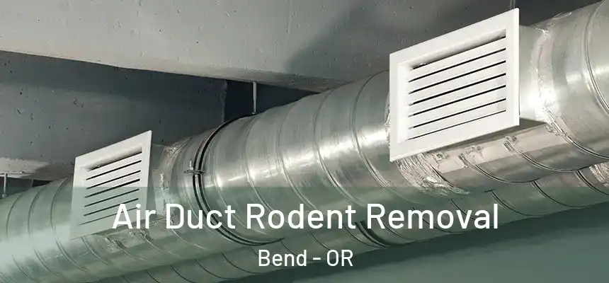 Air Duct Rodent Removal Bend - OR
