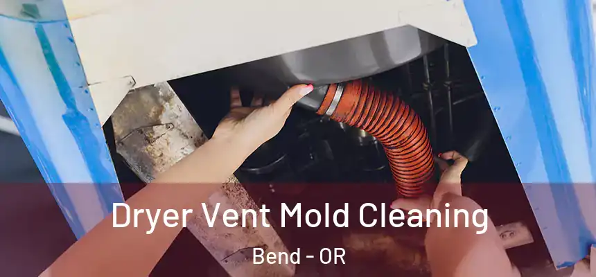 Dryer Vent Mold Cleaning Bend - OR