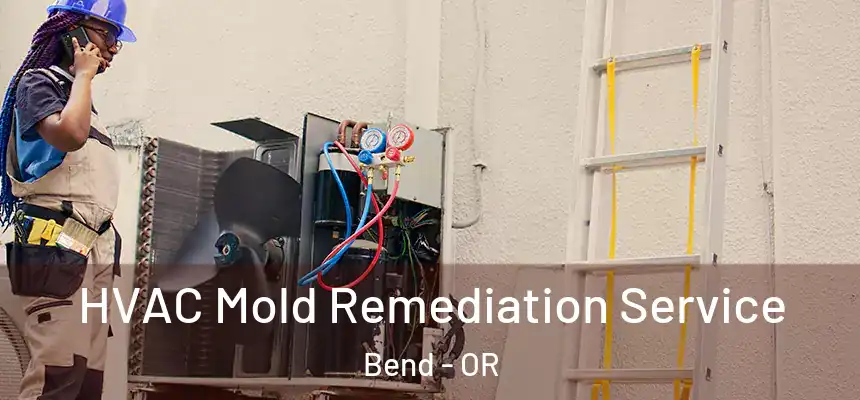 HVAC Mold Remediation Service Bend - OR