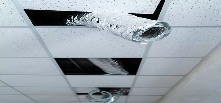 Affordable HVAC Sanitizing After Pest Removal in Bend