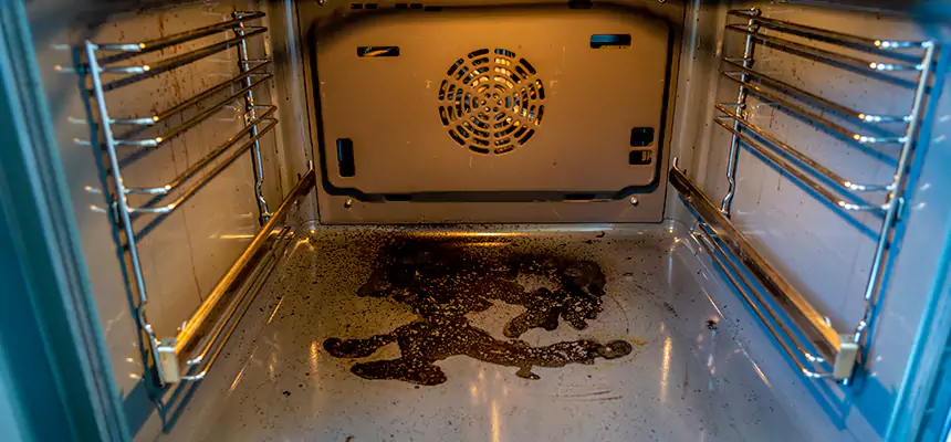 Our Dryer Vent Mold Cleaning Services in Bend, OR