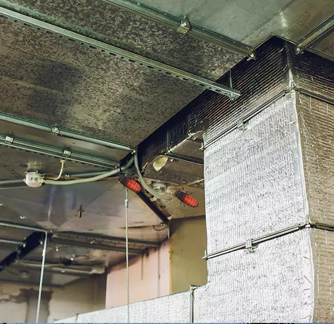 Why Homeowners & Businesses Trust Us in Bend, OR?