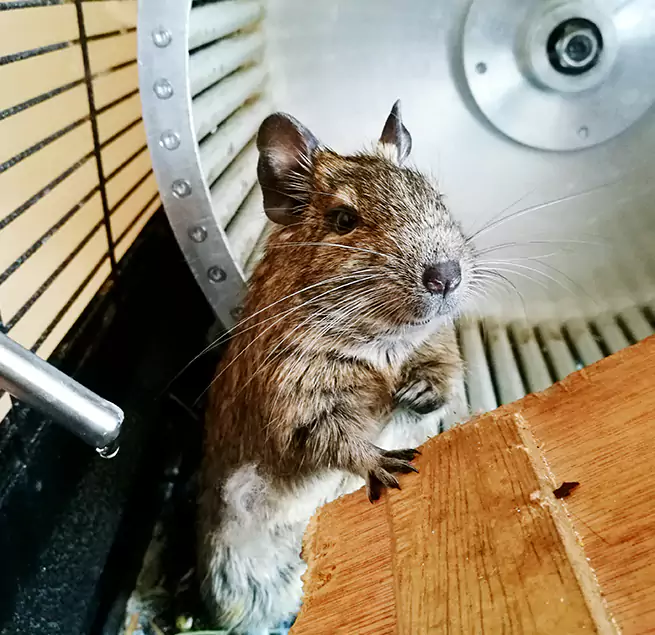 Why Homeowners & Businesses Trust Us Bend, OR?